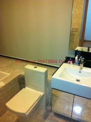 Angullia Park Residences @ Orchard (D10), Apartment #101153902